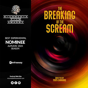 NIFA Autumn 2024 - Best Experimental - The Breaking of the Scream.jpg