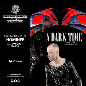 NIFA Autumn 2023 - Best Experimental Nominee - A Dark Time.jpg
