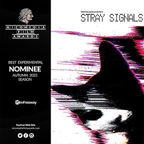 NIFA Autumn 2025 - Best Experimental - Stray Signals.jpg