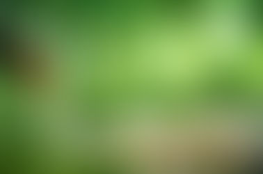 AROMATERAPIA APLICADA