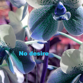 No desire_edited