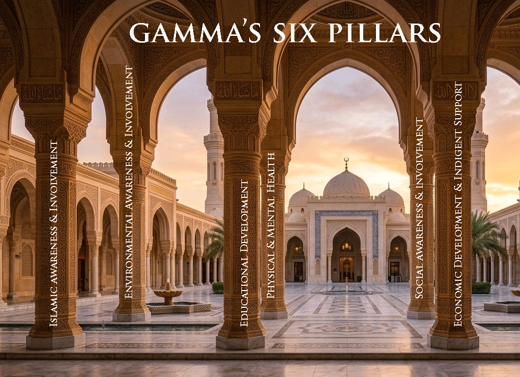 Gamma's six pillars