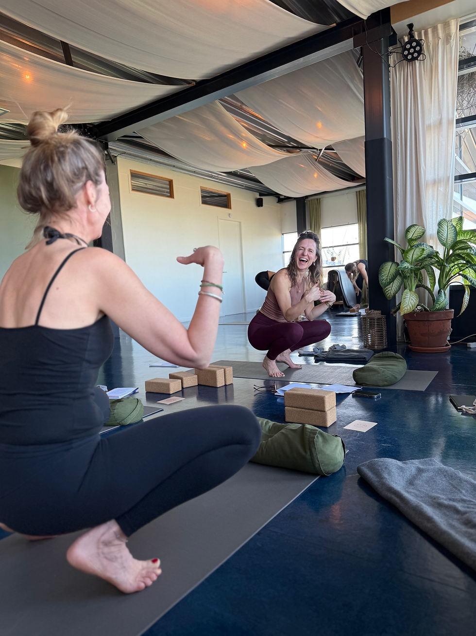 Yoga pre teacher training vinyasa yoga opleiding yogaschool noord amsterdam