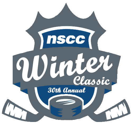 30th annual winter classic logo.gif