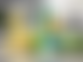 Top Eco-Friendly Cleaning Services in Riverside