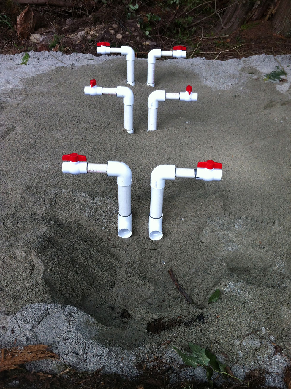 Manifold riser