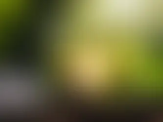 How to Make Your Home More Energy Efficient