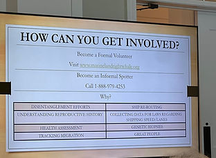 SWC Member Mtg. 4 Sept. 2025.jpg