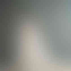 Flame bicolor Ragdoll kitten turning head with soft red markings – DreamiiDolls breeder.