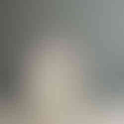 Front portrait of seal bicolor Ragdoll kitten Poppy highlighting gentle temperament and classic Ragdoll features