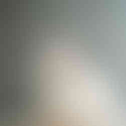 Flame bicolor Ragdoll kitten looking up with fluffy coat – DreamiiDolls Ontario.