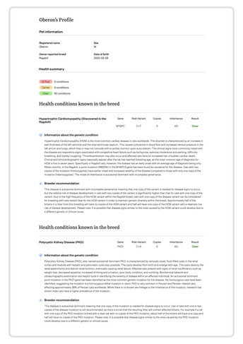 Genetic test report of the Ragdoll sire from DreamiiDolls Ragdoll Cattery in Ontario, Canada, showing clear results for HCM and PKD.