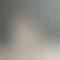 Blue bicolor Ragdoll kitten Coco in seated pose showing balanced markings and fluffy tail, Ontario bred Ragdoll kitten