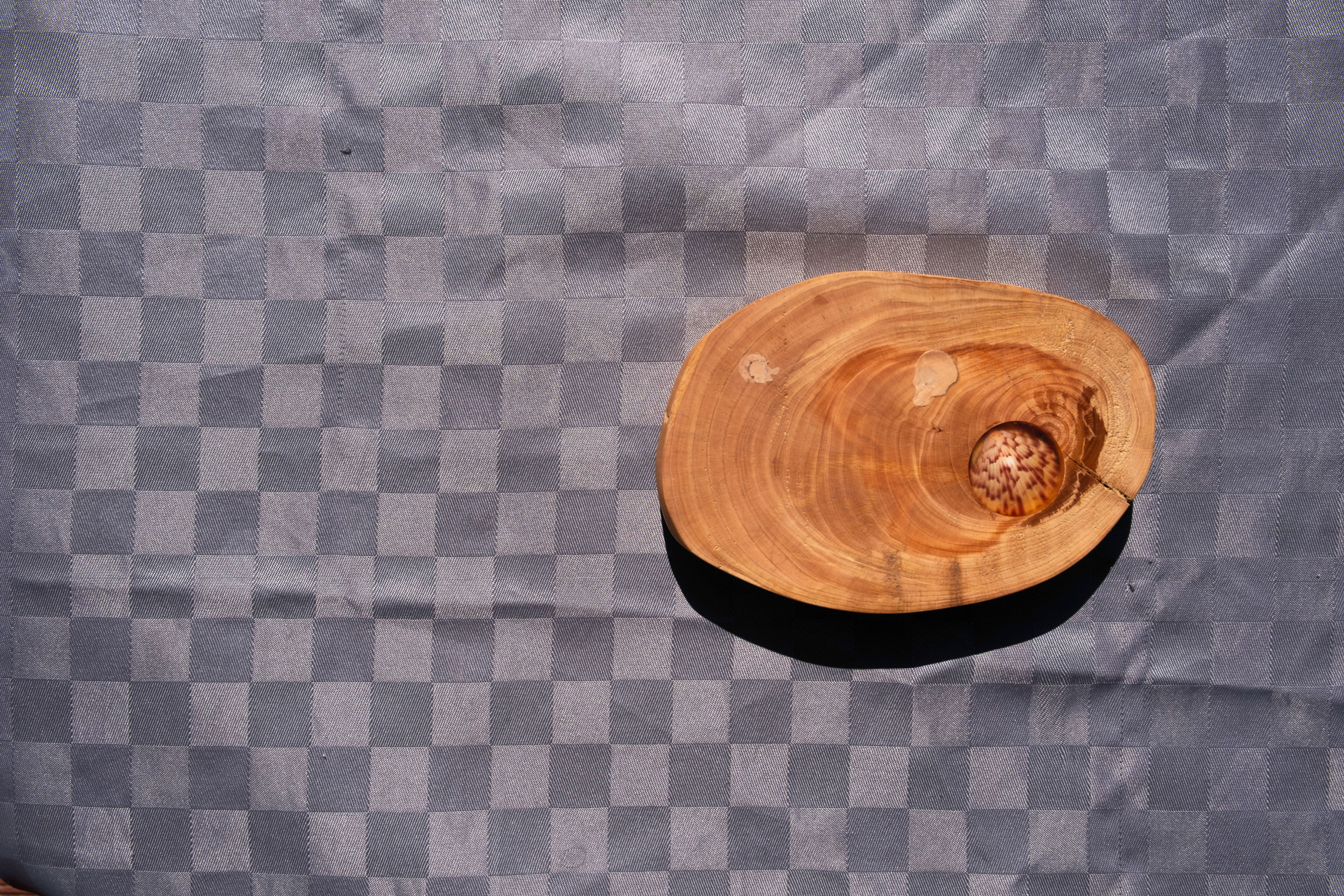 Serving Platter: Macrocarpa (Monterey Cypres) & Atlantic Calico Scallop