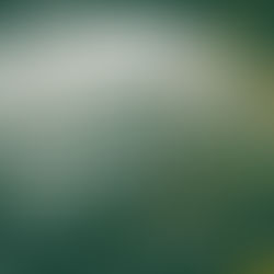 Greener Isn’t Optional: Design Studios Need A Sustainability Toolkit