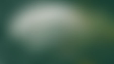 Greener Isn’t Optional: Design Studios Need A Sustainability Toolkit