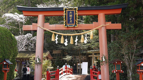 春から初夏にかけての祭典