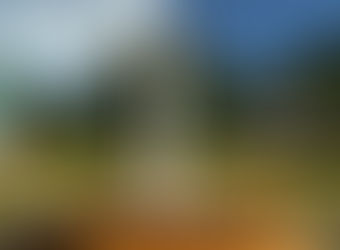 抜穂祭(稲刈り式)のご案内