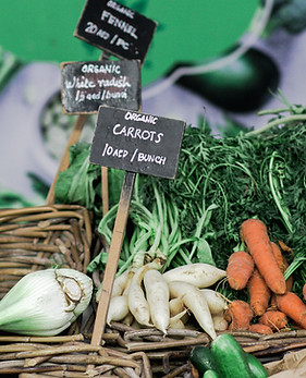 Organic Farmer's Market