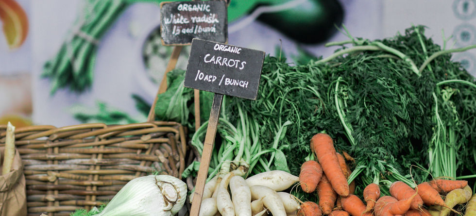 Organic Farmer's Market
