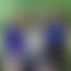 Ambassador of the Second Quarter