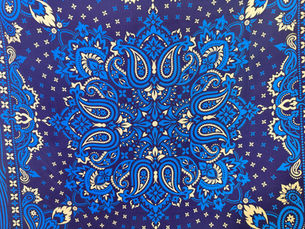 Beyond the Basics: The Silk Paisley Bandana as Your Go-To Accessory