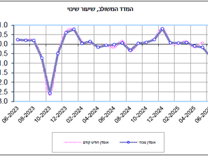 סיכום חודשי - יולי 2025