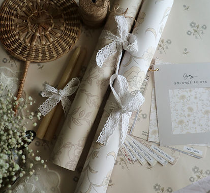 COLLECTION DE PAPIER PEINT SOLANGE PILOTE.JPG