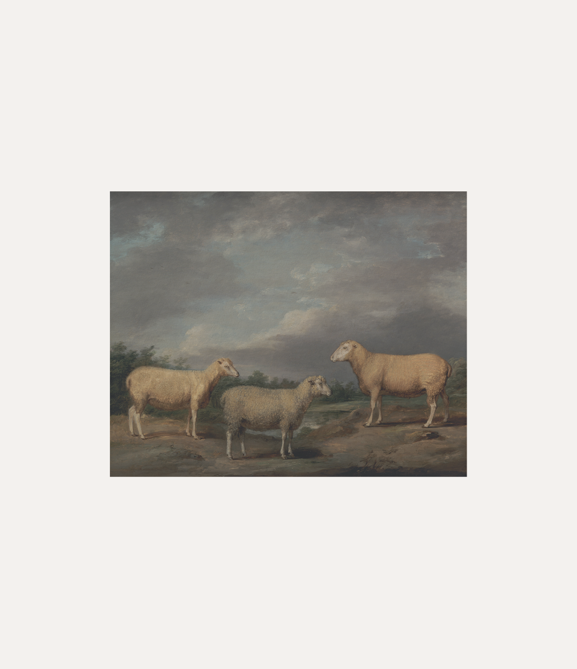 Affiches d’art vintage Moutons sans cadre par Artza & Co.