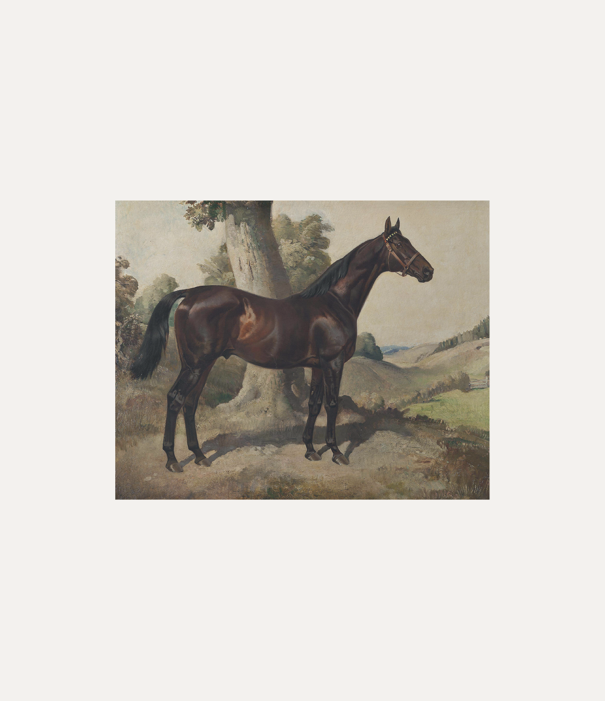 "HORSE STALLION" ART PRINT
