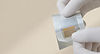 SweetBio_APIS_01_edited.jpg