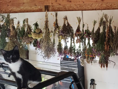 Winter Blues? The Local Flower Solution