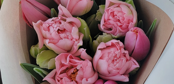 Dreamer and Louvre tulips.png