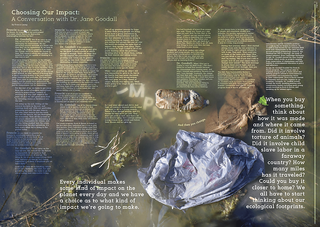 Screen Shot 2022-03-27 at 5.50.41 PM-min.png