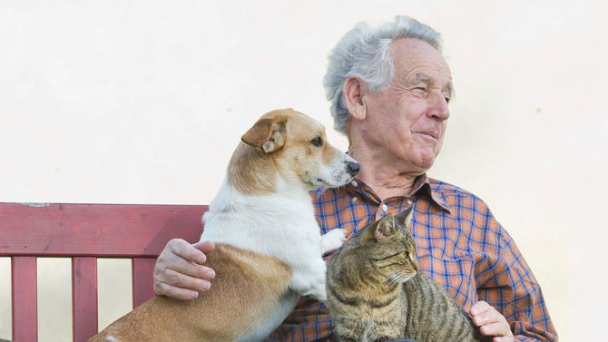 Normal or not normal aging?