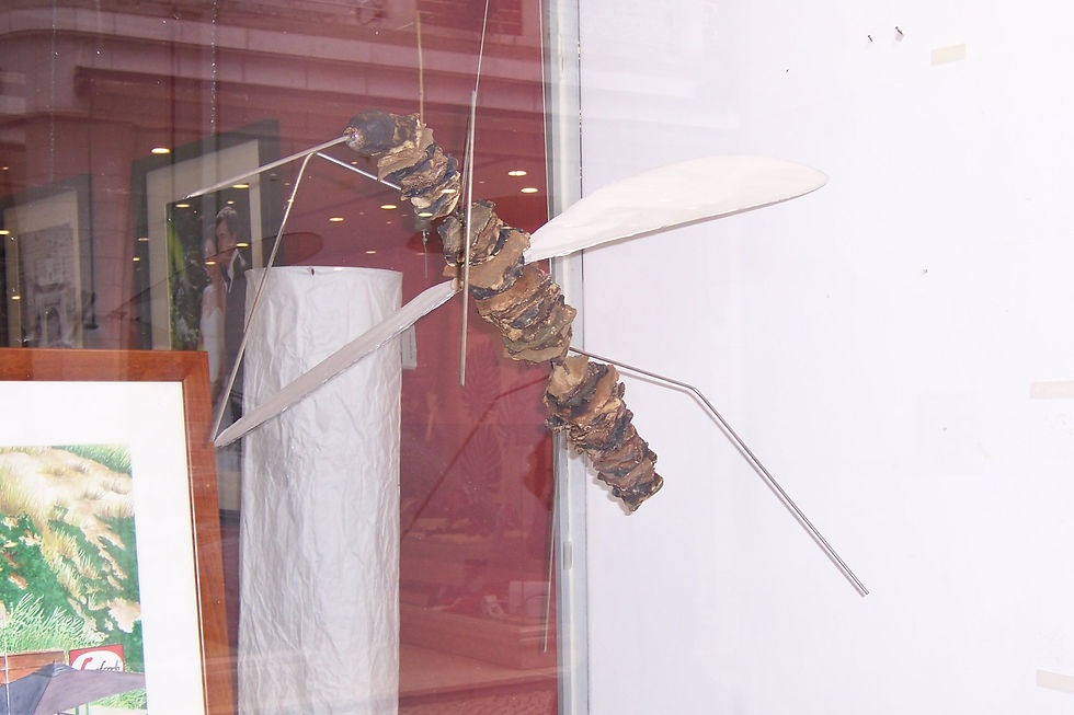 Melga | Mosquito