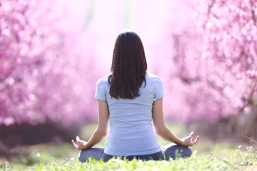 Intuitive Meditation Series - First Night Free