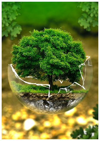 Untitled design (2)_edited.png