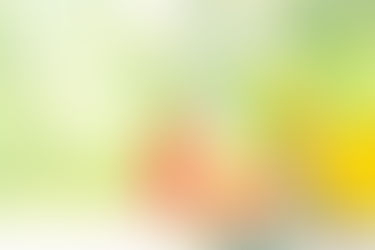 Spring Cleaning Tips