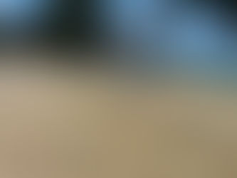 I Am Counting The Days Until Summer!