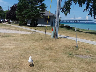 I Am Counting The Days Until Summer!