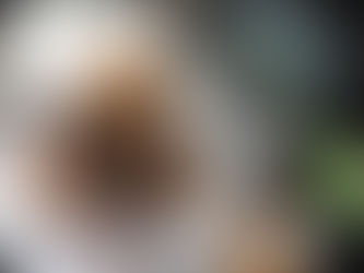 My Blogging Thoughts