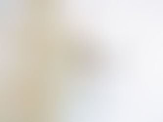 Here's What I've Been Up To.