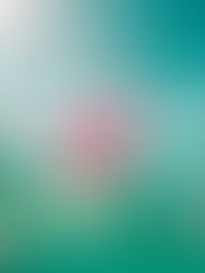 Prepping for Summer. My Thirteen Essentials.