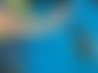 Understanding Paint Protection Film Installation