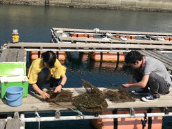 Fieldwork