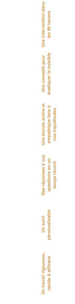 Image décorative