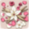artistic hand drawn rendering of vanilla beans with rose petals scattered among them___.jp