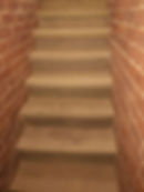 56890420_411749686041087_305527467878121