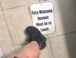 leash sign.jpg